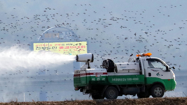 군산·서천서 H5형 AI 항원 검출