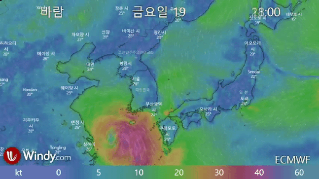 [지식K] 태풍 예상 경로, 어떻게 알아낼까?