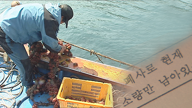 추자도를 ‘양식의 메카’로?…애물단지 될라
