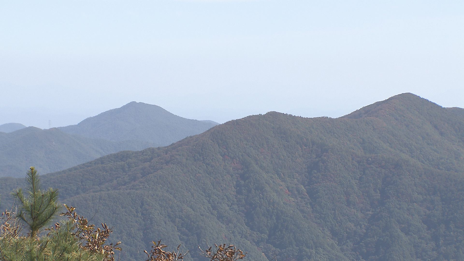“지리산 형제봉에 반달곰 서식”…하동 산악열차 난항