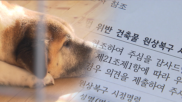 [취재후] ‘아지네마을’ 그때는 맞고 지금은 틀리다?…갈 곳 없는 유기견보호소