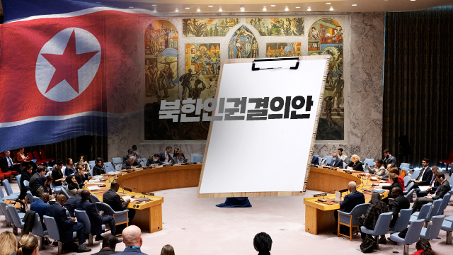 정부, 北인권결의안 공동제안 참여 관련자료 2