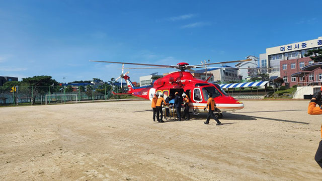 충남 보령 해수욕장서 승마 체험 50대 다쳐