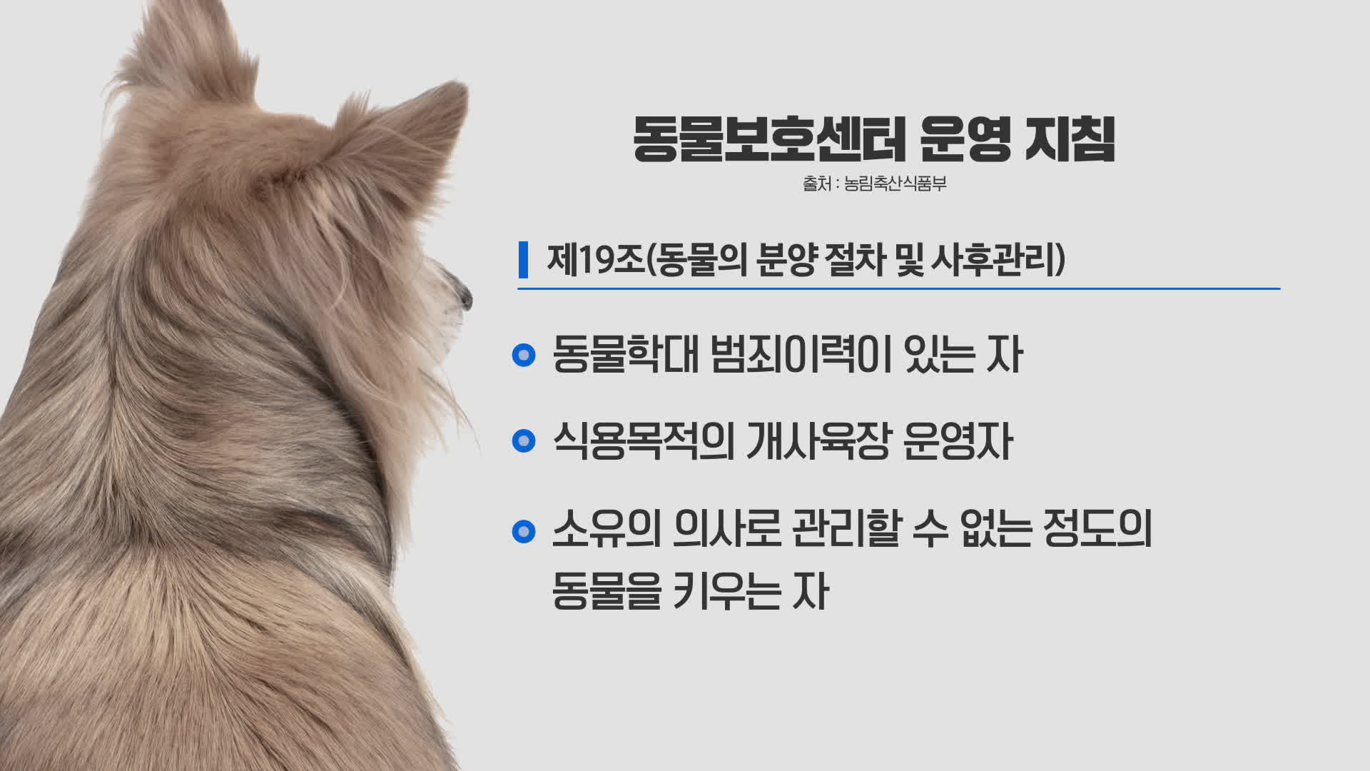 개 도축장에서 구조돼, 다시 도축장 전 직원에게…“동물 입양 절차 허술”