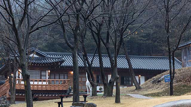 ‘하늘궁’서 숨진 80대 남성, 1차 소견 ‘지병에 의한 합병증’