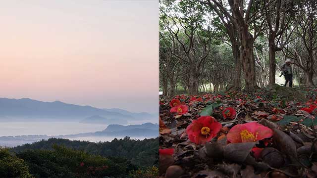 국가유산청, ‘강진 만덕산 백련사·다산초당 일원’ 명승 지정 예고