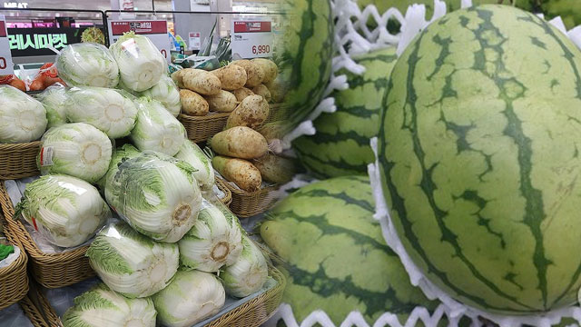 폭염에 농산물 가격 오름세…수박·배추, 일주일 새 20% 이상↑