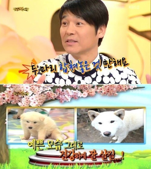 ‘안녕하세요’ 임창정, 입양 강아지 ‘봉지’ 근황 공개