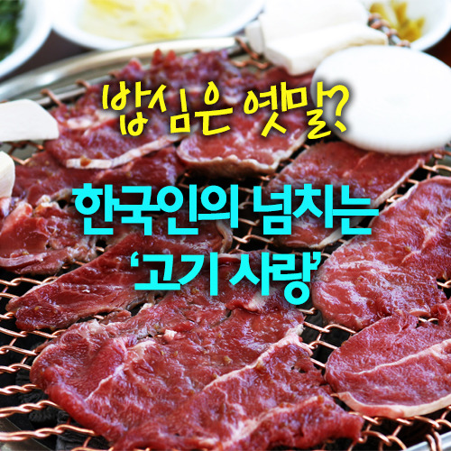 [카드뉴스] 밥심은 옛말? 한국인의 넘치는 고기사랑
