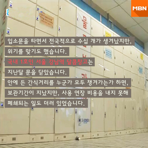 [카드뉴스] 쓰디쓴 일상 속 위로 한 스푼 달콤창고