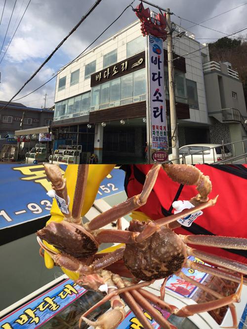 영덕대게맛집 중의 맛집! 최상급 품질로 보답하는 바다소리