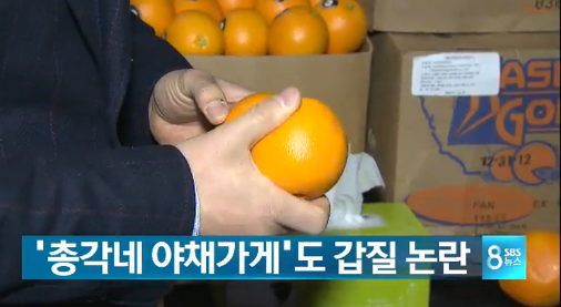 `총각네 야채가게`도 갑질 논란…폭행에 이어 `똥개 교육`까지?