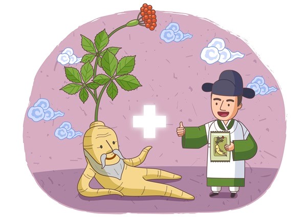 산삼, 인삼, 장뇌삼, 효삼, 홍삼…삼(蔘) 종류 별 효능 차이는?