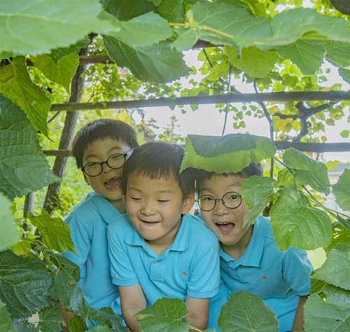 송일국, 삼둥이 근황 공개...여전히 귀여운 세 쌍둥이