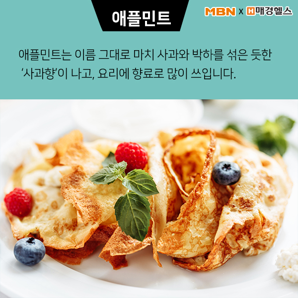 [건강스펀지] 수능 전, 꼭 마셔야 할 차(茶)
