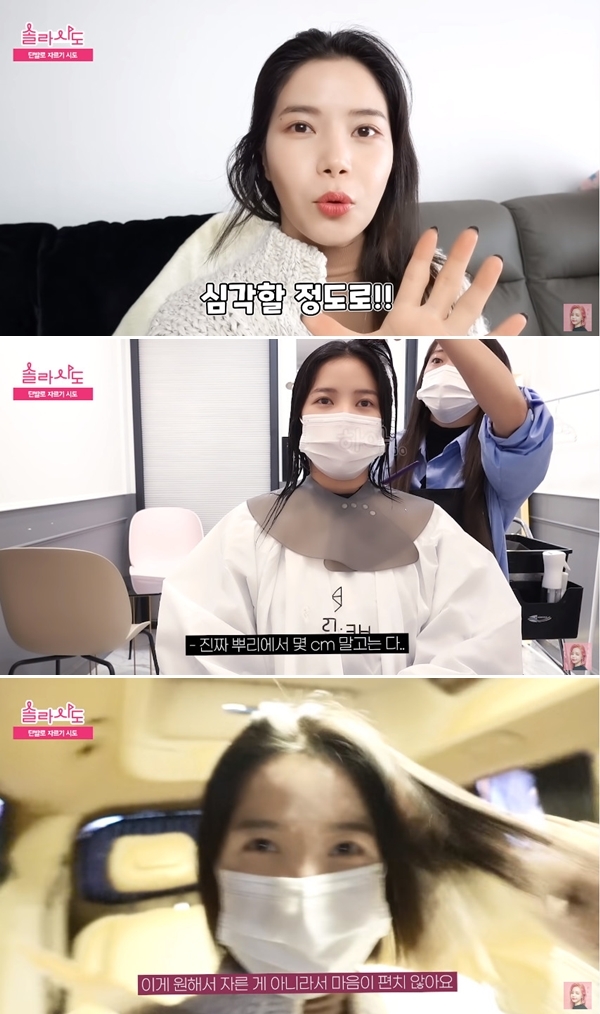 마마무 솔라 상한 머리, 귀 밑 3cm보다 더 짧게 잘라야