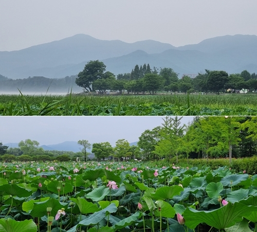[Travel] 양평에 핫도그만 드시러 가나요?