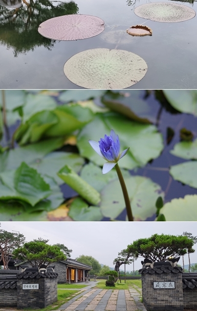 [Travel] 양평에 핫도그만 드시러 가나요?