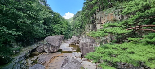 [Travel] 계곡 자연 음악회가 열린 무릉