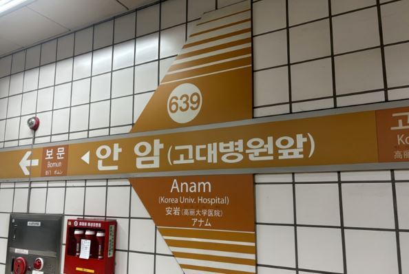 6호선 안암역, 다시 정상 운행…"소방점검 중 이산화탄소 방출"