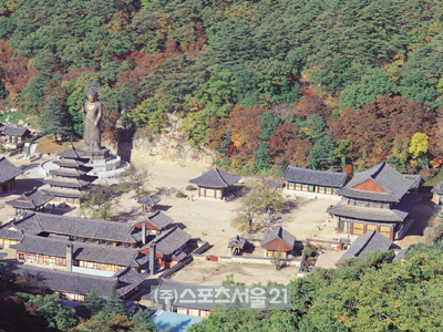 [위크엔드] 대추와 소나무의 고장 충북 보은