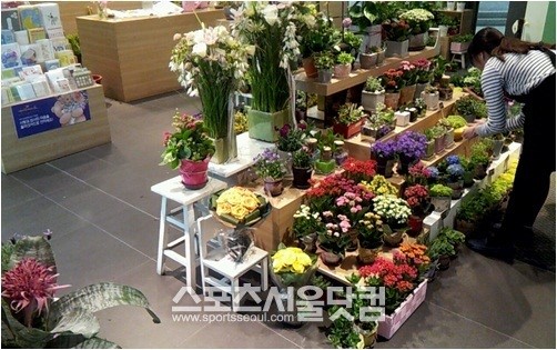 [SS현장]‘성년의 날’ 장미 어디서?…백화점, 동네 꽃집 7.2배↑