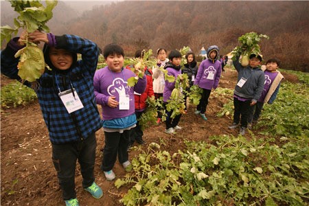 마음을 깨우는 2013 친환경 힐링 농촌 체험교육 진행