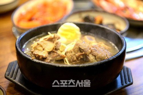 겨울나라 강원도 평창,태백여행