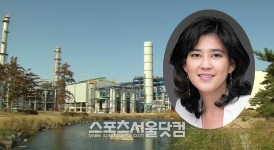 미운오리새끼 삼성 화학사, 삼성종합화학 중심 수직계열화 시작?