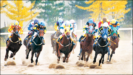 전기시즌 마지막 주 기복마 노려라..이변 속출