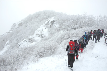 [한국 100대 명산 찾기] <37> 소백산