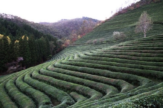 F1만큼 설레고 짜릿한 영암관광 `숙박 맛집 명소`