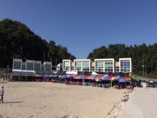 [기업인사이트:가진항 탐방] 어촌계에서 직접 잡은 자연산 가진물회맛 일품