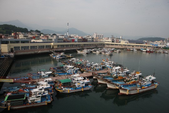 단풍의 계절, 만추의 멋과 맛을 함께 즐긴다!