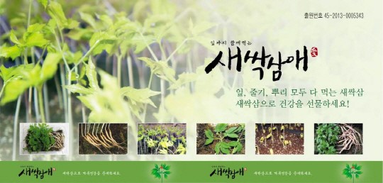 새싹삼으로 산삼의 효능을 느껴보세요