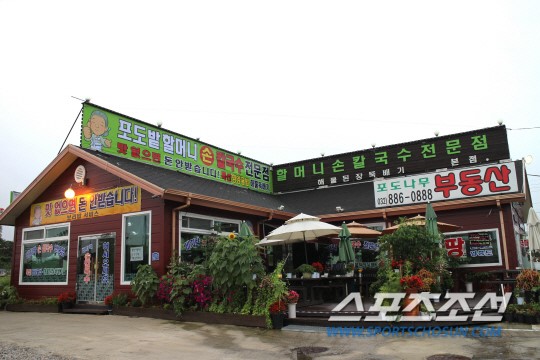 [대부도 맛집]시원하고 감칠 맛 포도밭할머니 손칼국수