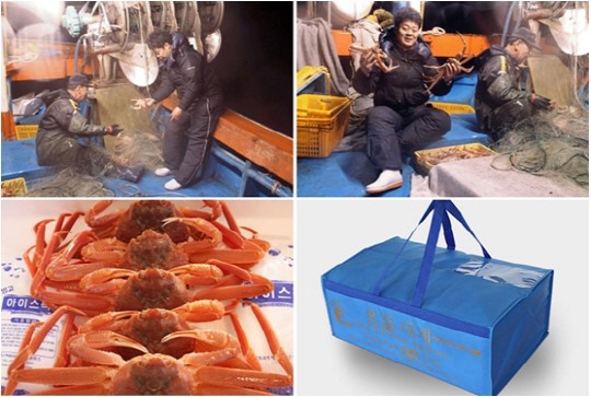 직접 잡은 영덕대게 직거래, 강사수산 인기