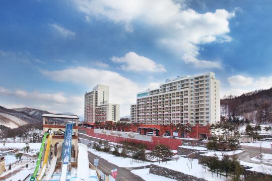 한화리조트 휘닉스파크, 1만 원 버스 투어 실시!
