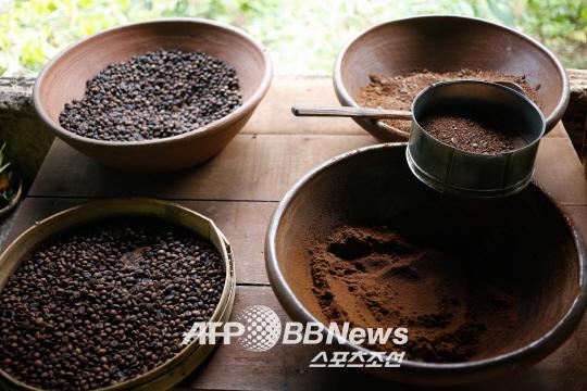 하루 커피 2잔 ‘간경화 위험 줄어든다’…이유는?