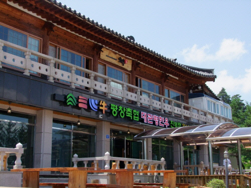 평창맛집 와우 한우식당의 특별한 대관령한우 스테이크를 아시나요?
