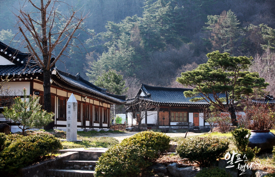 자연이 살아 숨쉬는 힐링 캠핑장 & 펜션, 알프스밸리