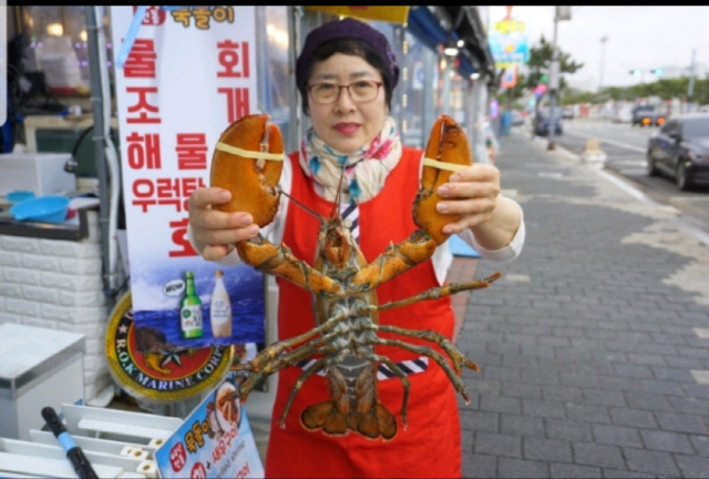 포항 여행 시 꼭 가볼만한곳 영일대 맛집 묵돌이 신선한 랍스터회와 단맛나는 생새우