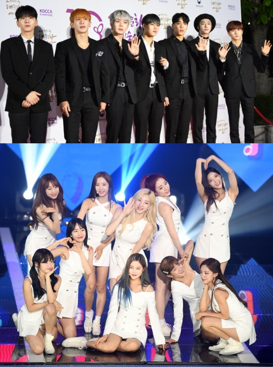 [공식]스타쉽 "몬스타엑스→장원영 악플러에 벌금형+2차 고소…선처無"(전문)
