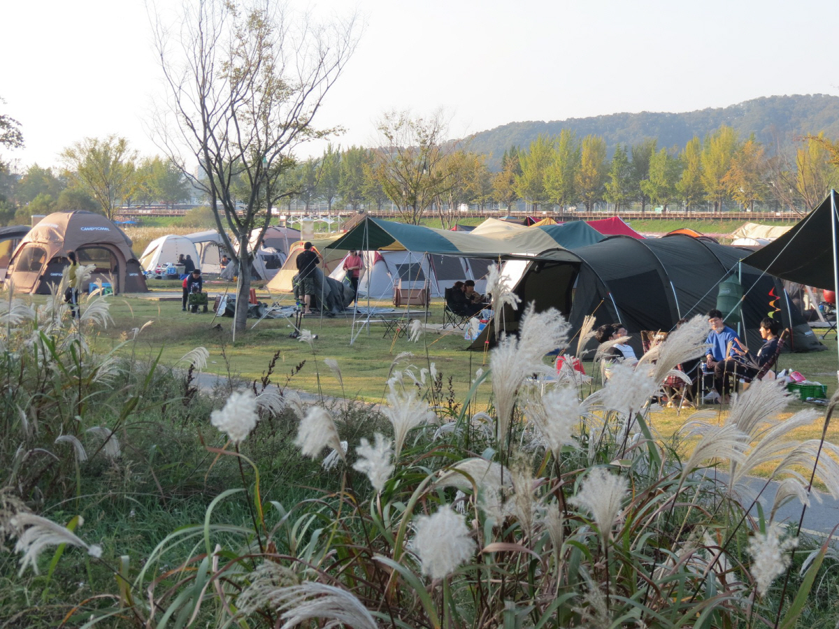 아산 곡교천 야영장 수해 복구 후 재개장