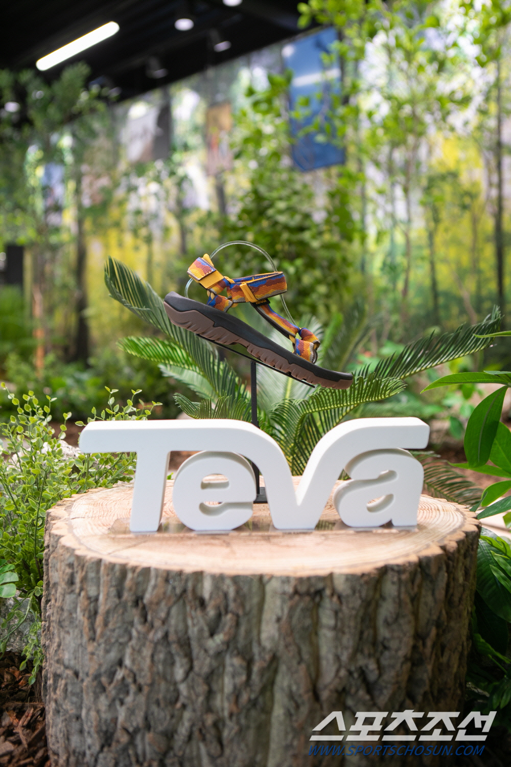 테바(TEVA), ‘캠핑 인 테바’ 팝업 스토어 슈마커 서울 강남역점에 오픈
