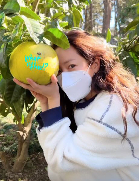 41세 한지민, 얼굴 크기 실화? 과일보다 작은 소멸 직전 소두