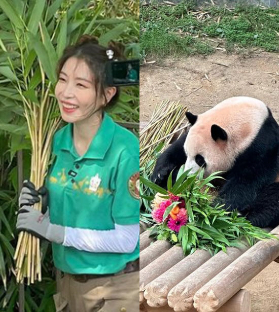보아 저는 푸바오 성덕입니다…대나무 꽃다발 들고 소원성취 미소