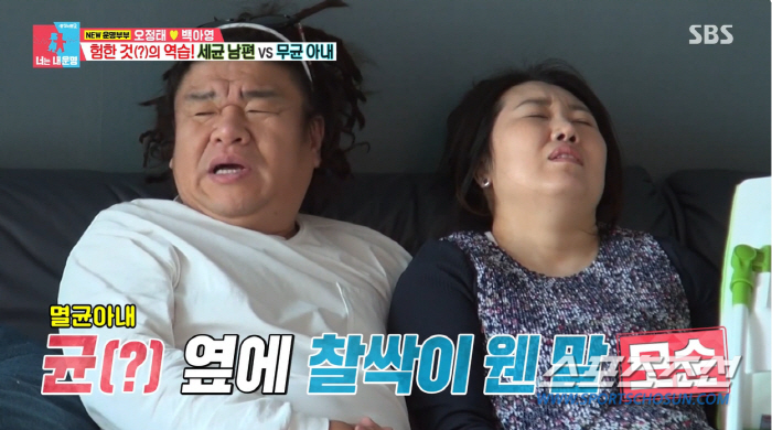 세균 덩어리다. 오정태, 손에서 측정 불가 수준 세균 검출