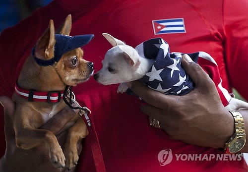 만든곳: 한국 네티즌본부 카페