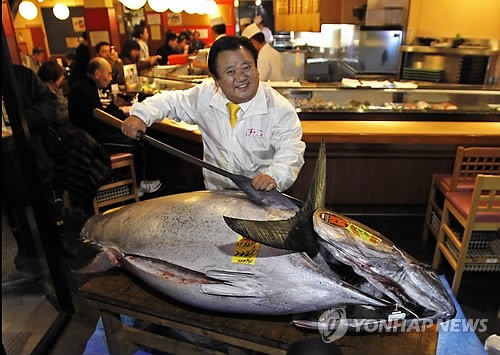 원참치 이미지